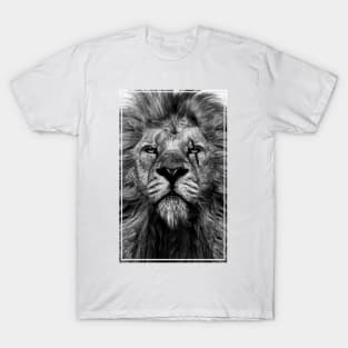 King of Judah T-Shirt